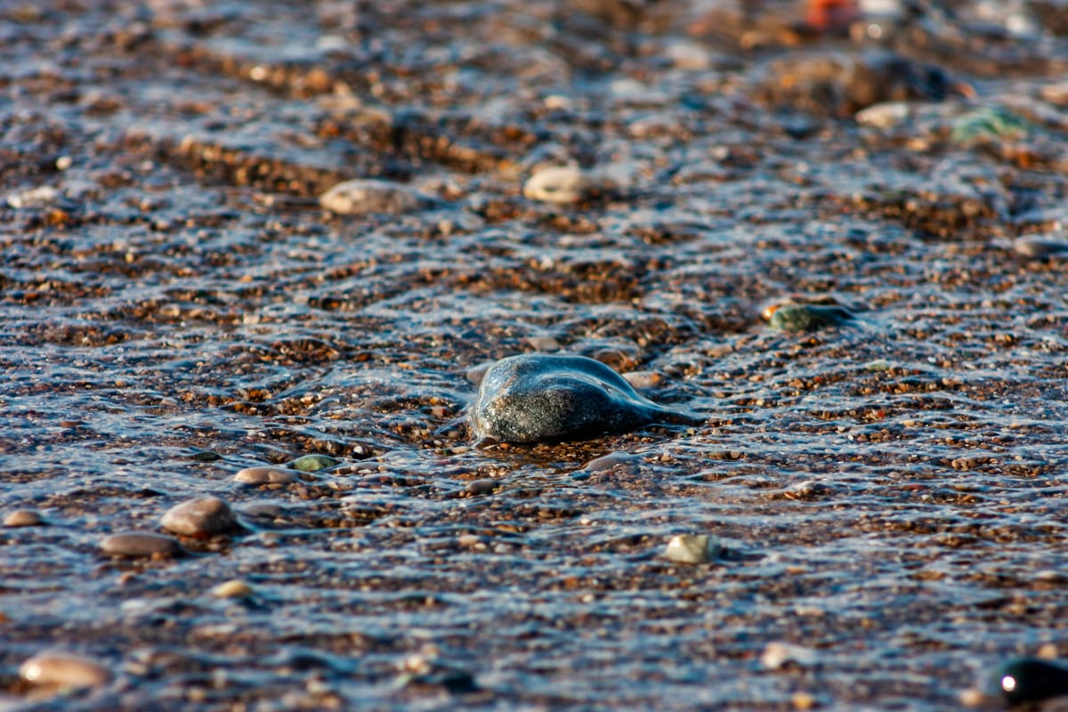 Water flowing over small rocks on a beach