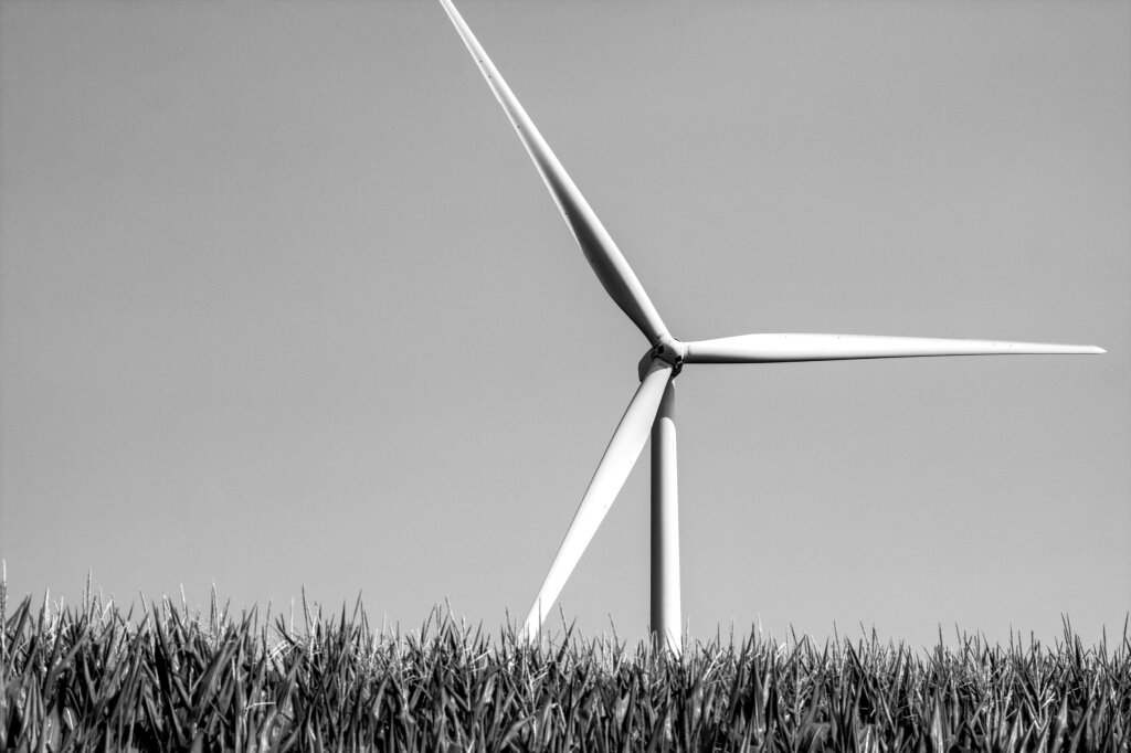 A black and white photograph of a wind turbine seen over a corn field.